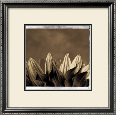 Petalis by Jean-Francois Dupuis Pricing Limited Edition Print image