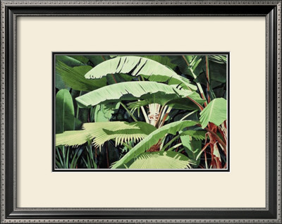 Tropical Harmony by Glenn Cernosek Pricing Limited Edition Print image