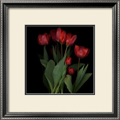 Vibrant Red Tulips by Robert Creamer Pricing Limited Edition Print image