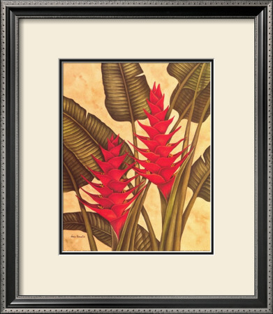 Tropical Heliconia by Dianne Krumel Pricing Limited Edition Print image