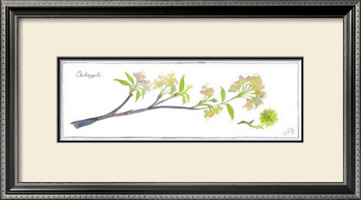 Crabapple Branch by Robbin Gourley Pricing Limited Edition Print image