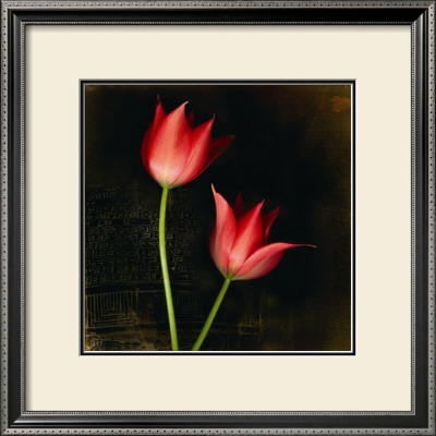 Species Tulips by Rick Filler Pricing Limited Edition Print image