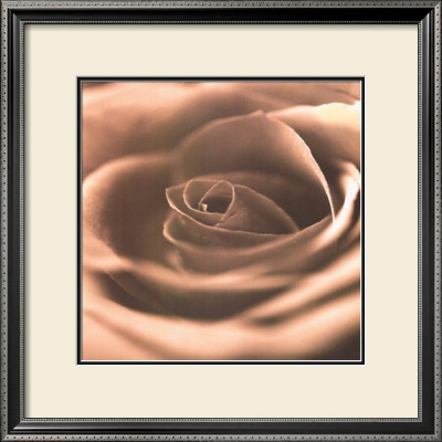 Sepia Rose by Cosimo Scianna Pricing Limited Edition Print image