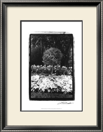 Garden Hideaway Ii by Laura Denardo Pricing Limited Edition Print image