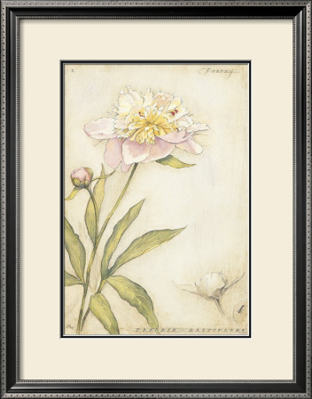 Peony I by Meg Page Pricing Limited Edition Print image