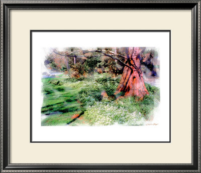 Under The Tree by Nicolas Hugo Pricing Limited Edition Print image