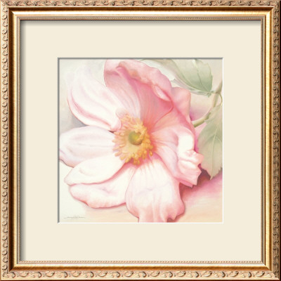 Anemone Monte Rosa by Annemarie Peter-Jaumann Pricing Limited Edition Print image