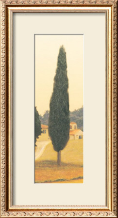 Cypress I by Amy Melious Pricing Limited Edition Print image
