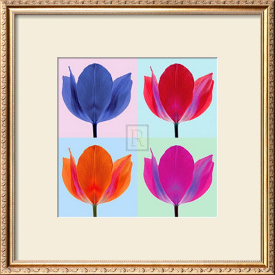 Tulip Quadrant Ii by Katja Marzahn Pricing Limited Edition Print image