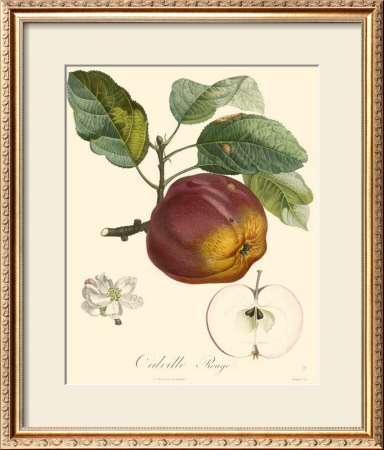 Apples by Bessa Pricing Limited Edition Print image