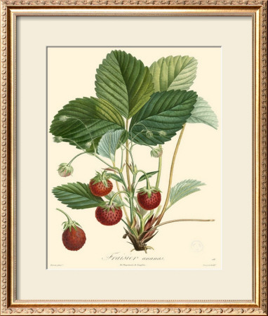 Strawberries by Bessa Pricing Limited Edition Print image