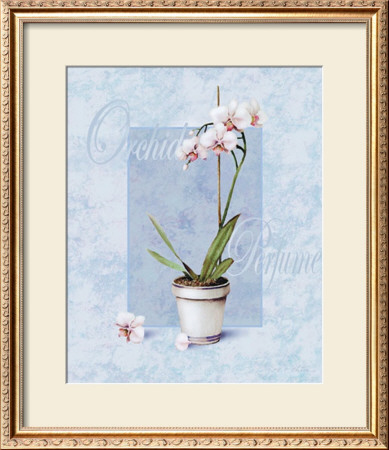 Orchid by T. C. Chiu Pricing Limited Edition Print image