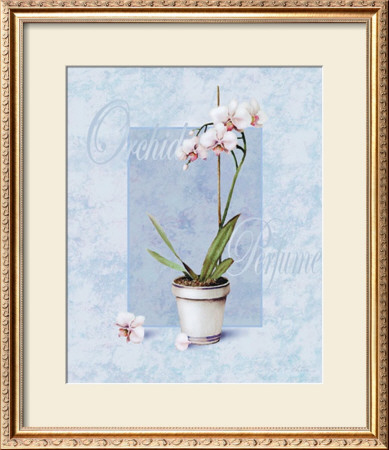 Orchid by T. C. Chiu Pricing Limited Edition Print image