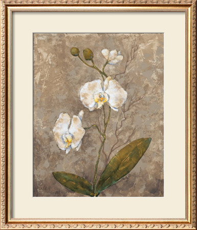 White Harmony Ii by Trevor Copenhaver Pricing Limited Edition Print image