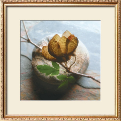 Branch On Stone by Glen & Gayle Wans Pricing Limited Edition Print image
