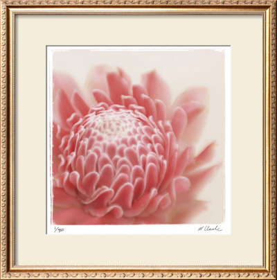Pastel Study 4 by Claude Peschel Dutombe Pricing Limited Edition Print image