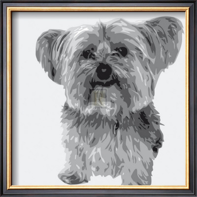Yorkie by Emily Burrowes Pricing Limited Edition Print image