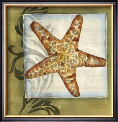 Starfish Medley I by Jennifer Goldberger Pricing Limited Edition Print image