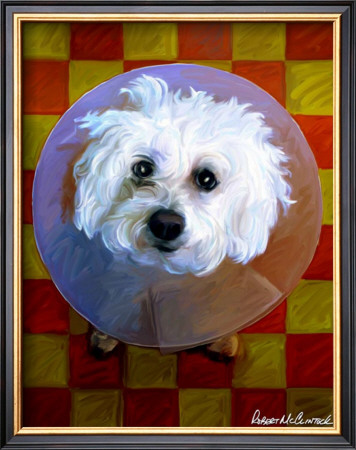 Bichon by Robert Mcclintock Pricing Limited Edition Print image