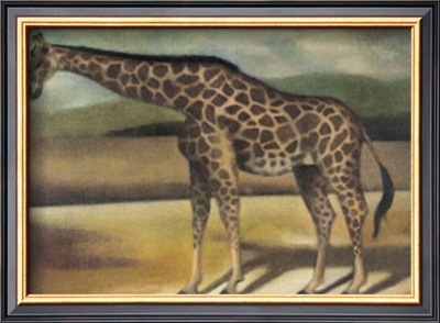 Giraffe by Denise Crawford Pricing Limited Edition Print image