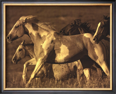 Like The Wind I by Wendy Caro Pricing Limited Edition Print image