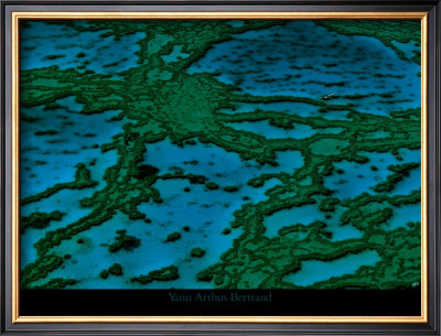 Grande Barriere De Corail by Yann Arthus-Bertrand Pricing Limited Edition Print image