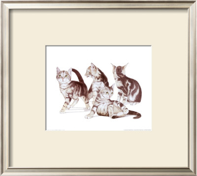 Puppies And Kittens I by D. Patrian Pricing Limited Edition Print image