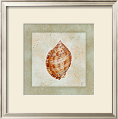 Channelled Whelk by Eleanor Rahim Pricing Limited Edition Print image