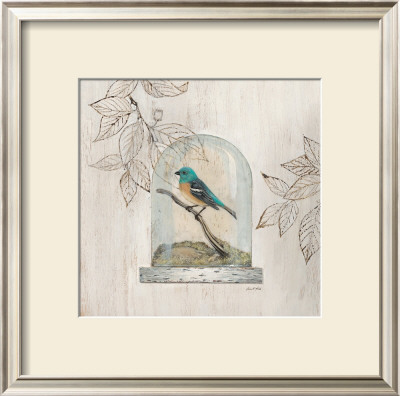 Aviary Display by Arnie Fisk Pricing Limited Edition Print image