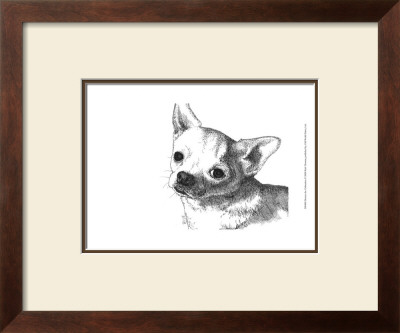 Bruiser The Chihuahua by Beth Thomas Pricing Limited Edition Print image