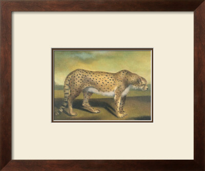 Cheetah by Denise Crawford Pricing Limited Edition Print image