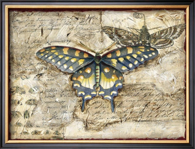 Poetic Butterfly Ii by Chariklia Zarris Pricing Limited Edition Print image
