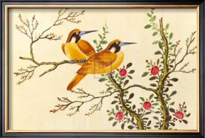 Yellow Birds On Branch by Anonymous Pricing Limited Edition Print image