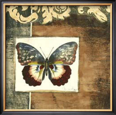 Butterfly Collage Ii by Jennifer Goldberger Pricing Limited Edition Print image