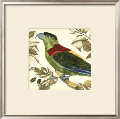 Tropical Parrot Iv by Martinet Pricing Limited Edition Print image