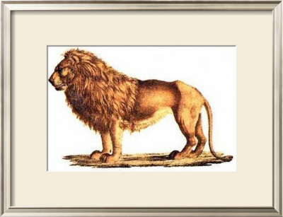 Lion by Karl Brodtmann Pricing Limited Edition Print image