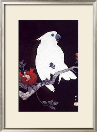 Ukiyo-E Parrot by Ohara Shoson Pricing Limited Edition Print image