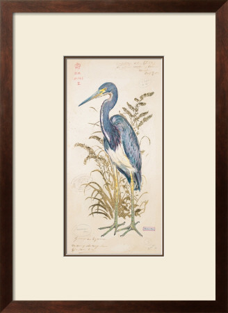 Tricolor Heron by Chad Barrett Pricing Limited Edition Print image