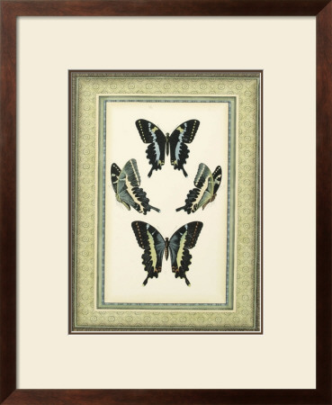 Papilio Collection Iv by Lebrun Pricing Limited Edition Print image