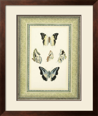 Papilio Collection I by Lebrun Pricing Limited Edition Print image