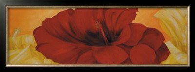 Red Flower by Erik De Andre Pricing Limited Edition Print image