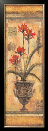 Rojo Botanical Viii by John Douglas Pricing Limited Edition Print image
