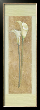 Cala Lily Ii by Lanie Loreth Pricing Limited Edition Print image