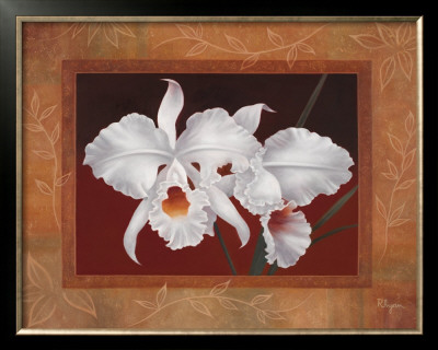 White Orchids by Vivien Rhyan Pricing Limited Edition Print image