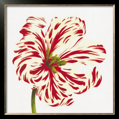 Red And White Flowers by Miriam Bedia Pricing Limited Edition Print image