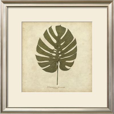 Windowleaf by Becky Davis Pricing Limited Edition Print image