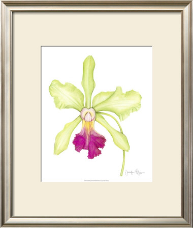 Orchid Beauty Iii by Jennifer Goldberger Pricing Limited Edition Print image