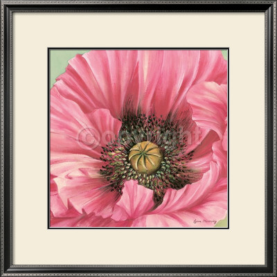 Pink Poppy Bloom by Lynne Misiewicz Pricing Limited Edition Print image