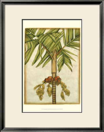 Graphic Palms Ii by Jennifer Goldberger Pricing Limited Edition Print image