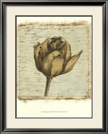 Tulip Impressions Iii by Ethan Harper Pricing Limited Edition Print image